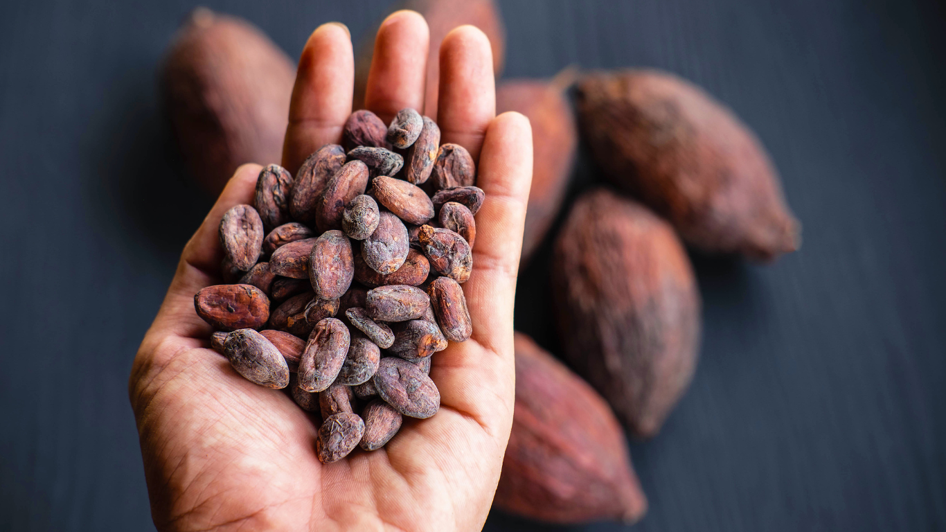 cioccolato bianco: raffinazione e concaggio